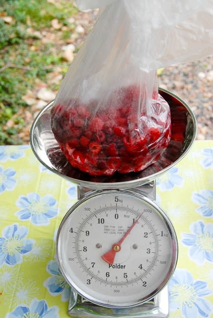 Weighing freshly picked raspberries at farm stand 