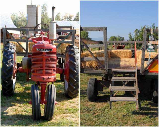 2 photo collage with Red Tractor for hay rides on left and riding bed with hay bales on right