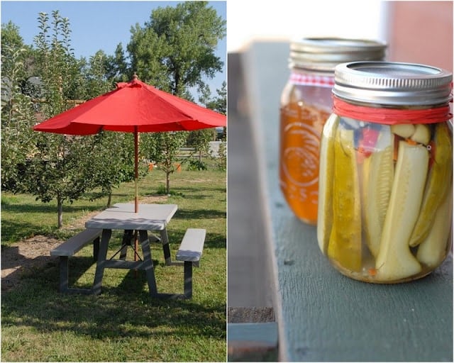 2 photo collage with Homemade pickles on right and picnic table in apple orchard on left