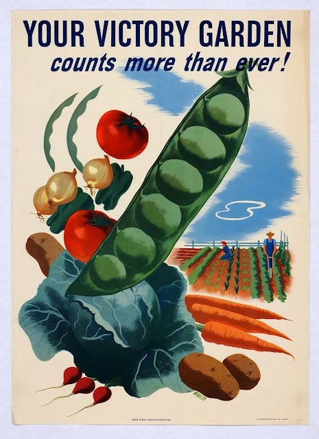 vintage victory garden poster