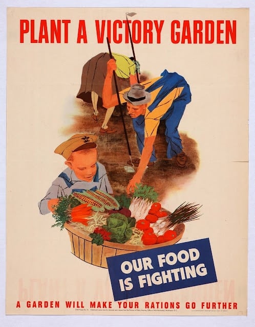 vintage victory garden poster