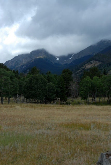 A field with a mountain in the background