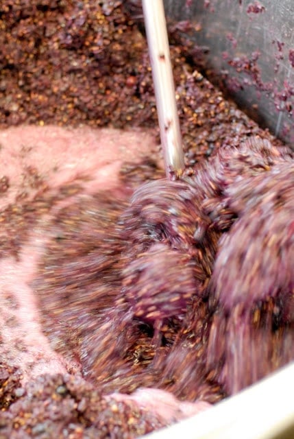 A close up of wine making in barrel
