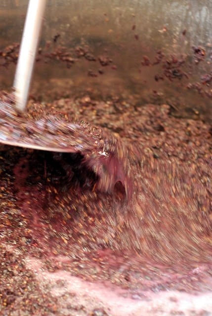 stirring pressed grapes