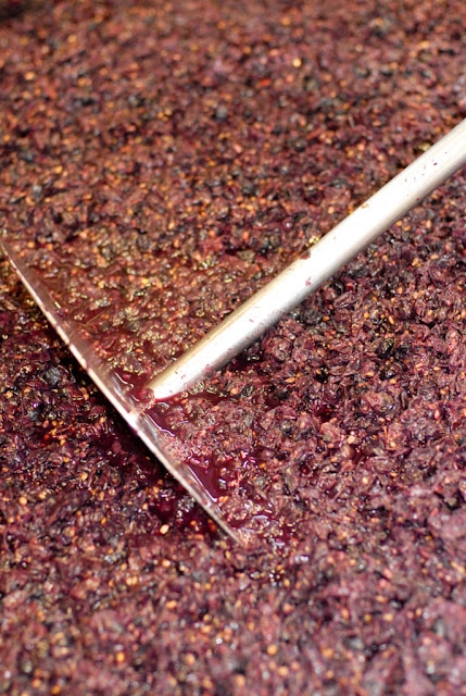 pressing grapes in wine making