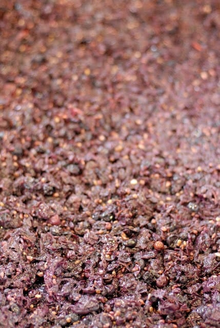 grapes in wine making barrel