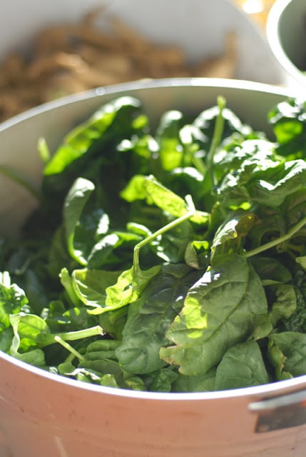 A close up of a bowl of spinach