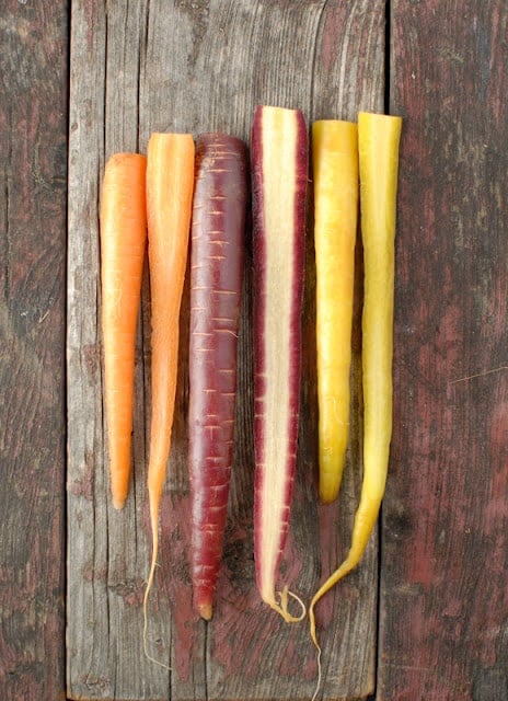 Dragon Carrots on vintage painted wood 