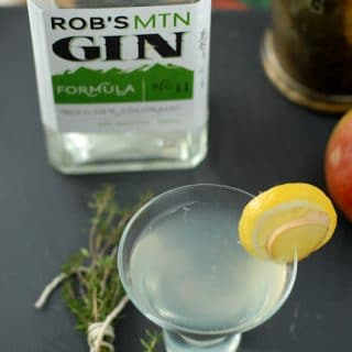 Gin Gimlet with gin bottle