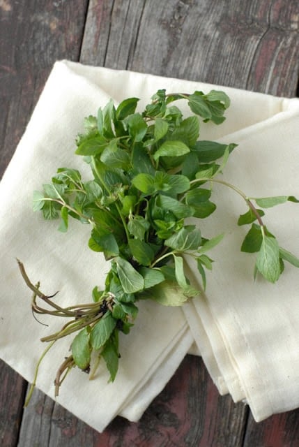 Fresh Mint on weathered wood