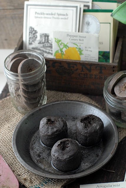 peat pots in a saucer with seed packets