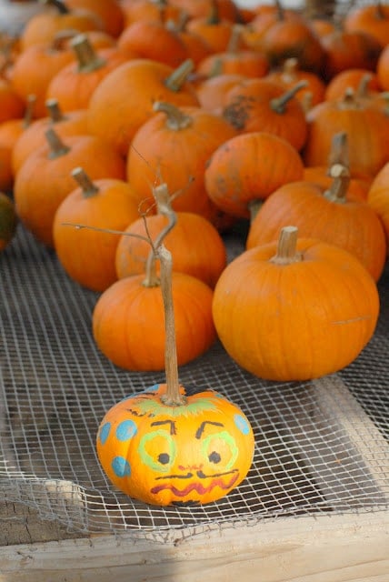 A bowl of pumpkins on a table