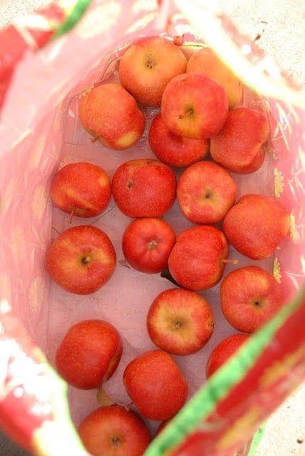 bag of hand picked apples