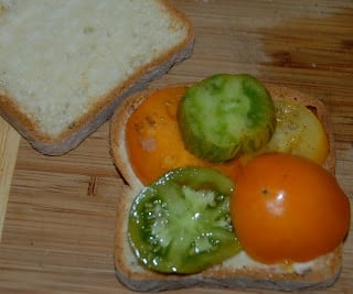 colorful tomatoes on sandwich