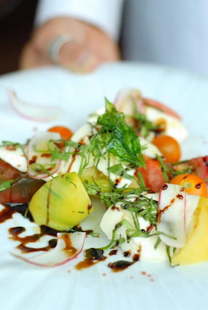 close up of caprese salad at restaurant