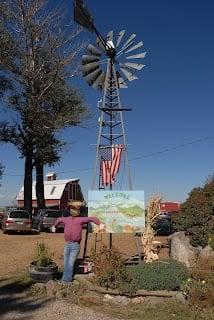 windmill and scarecrow at Berry Patch Farms Brighton CO