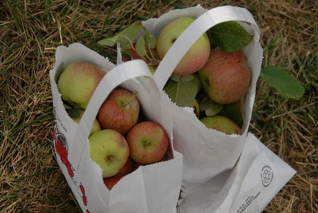 A bags of hand picked apples
