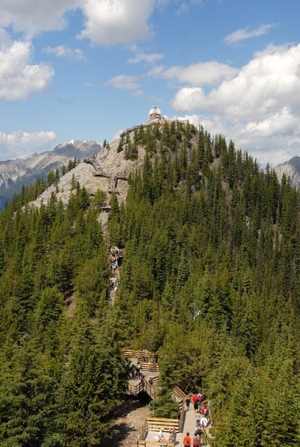 A tree with a mountain in the background