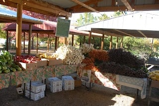 first day of winter CSA share Cure Organic Farm