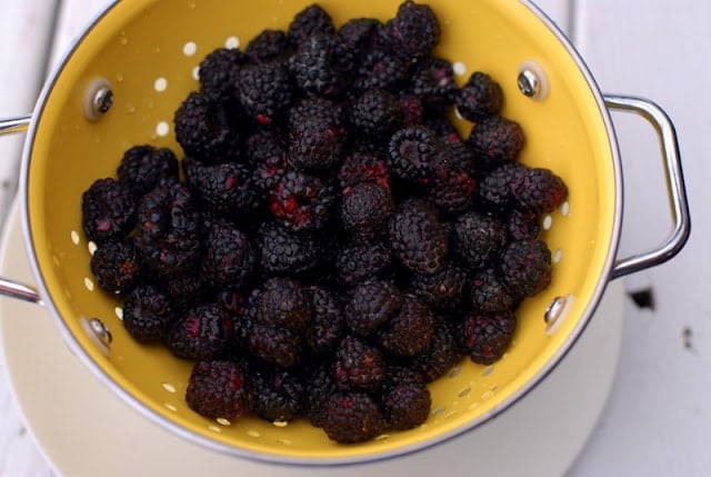 black raspberries in yellow colander