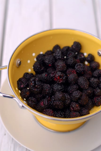 black raspberries in yellow colander