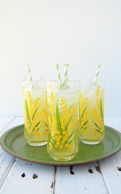 Lemonade Picnic Cocktail