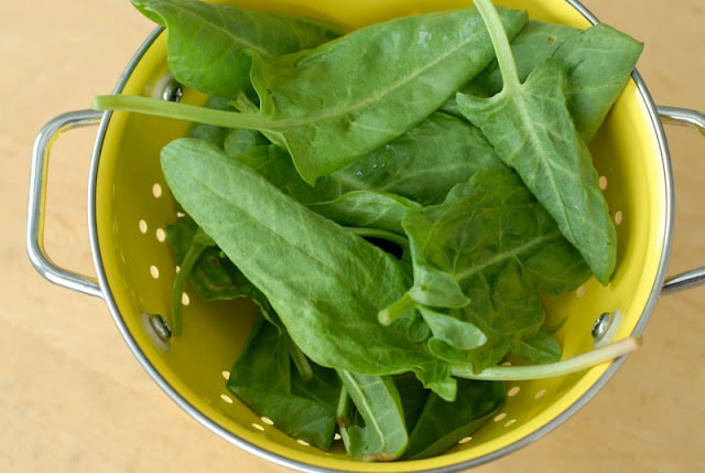 spinach in yellow colander