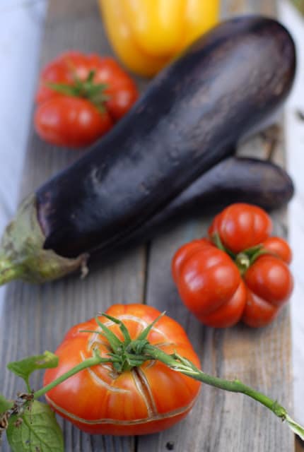 eggplant and tomatoes