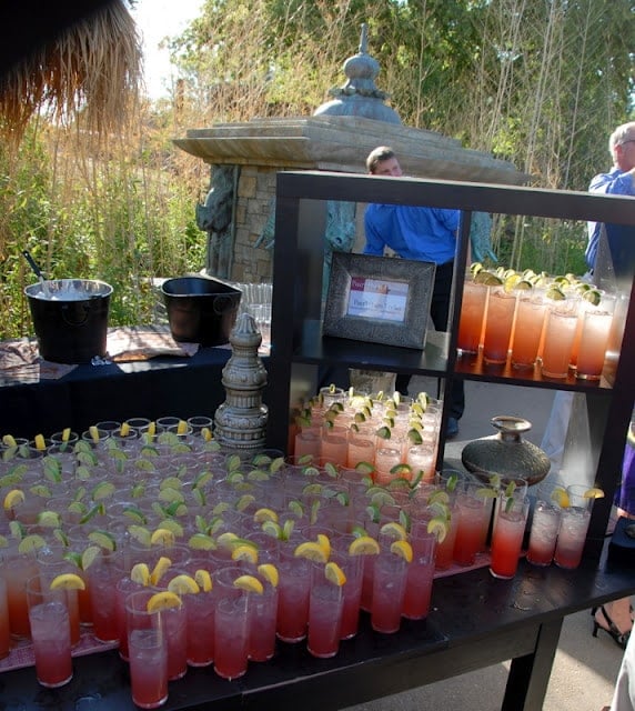 glasses of cocktails on zoo display