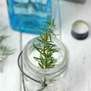 rosemary infusing in gin