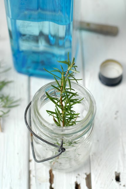 rosemary infusing in gin