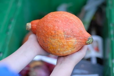 child\'s hands holding a gourd