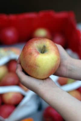 A person holding an apple