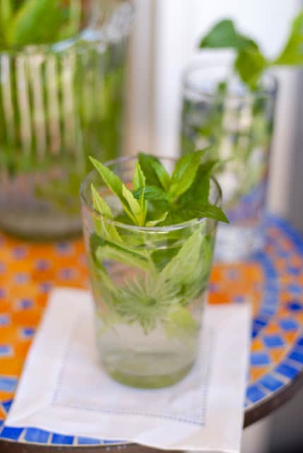 mint in glass of water