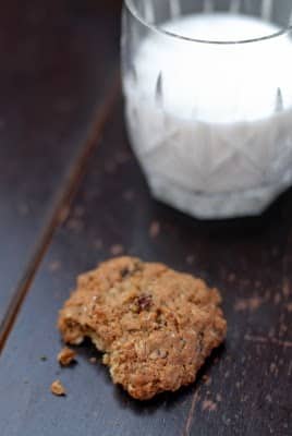 oatmeal Cookie