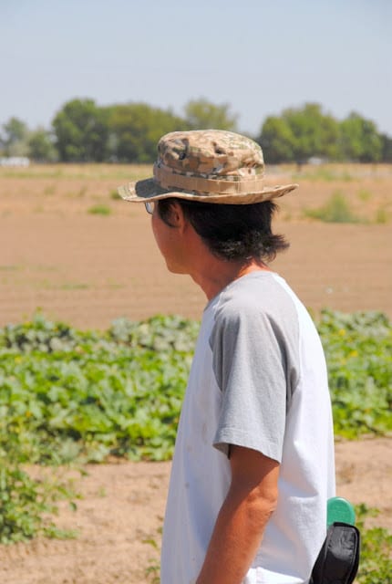 man looking at farm