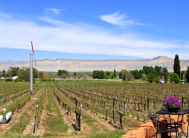 Colorado's Grand Valley Wine Country (Palisades/Grand Junction CO)