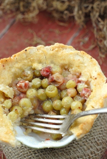 gooseberry pie filling with fork