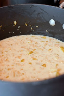 making caramel apple ice cream (mixture)