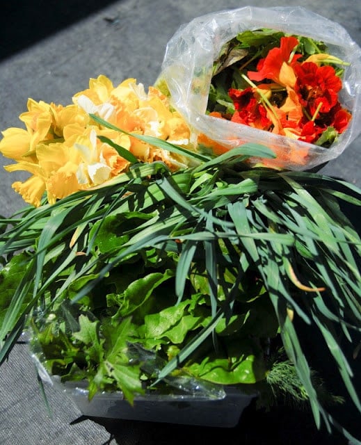 fresh greens and edible flowers