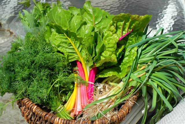 rainbow chard