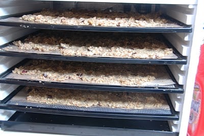 granola in dehydrator