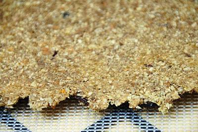 A close up of cranberry granola