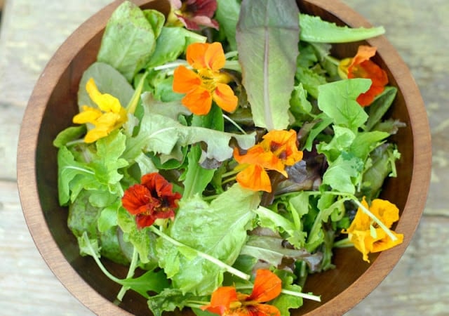 fresh salad with edible flowers