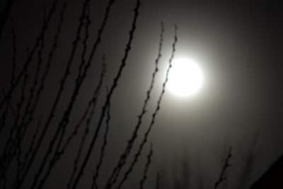 full moon on dark night
