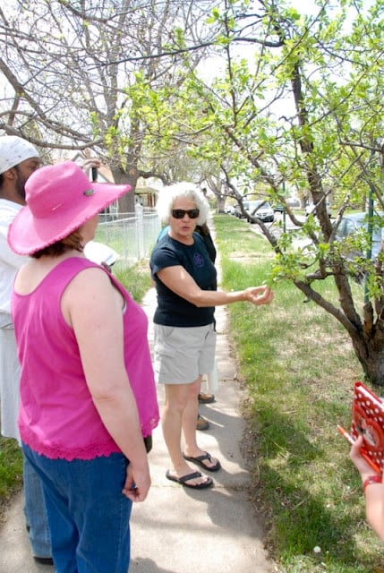 Kate Armstrong Urban Foraging