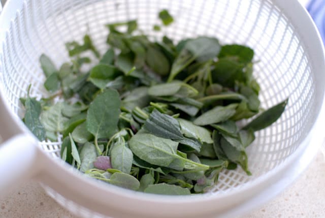 foraged greens