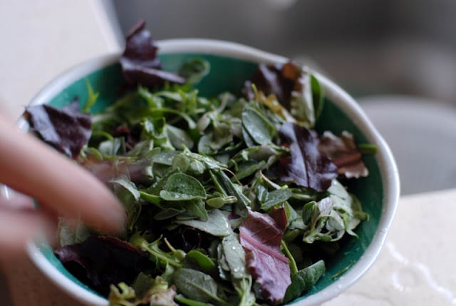 foraged salad