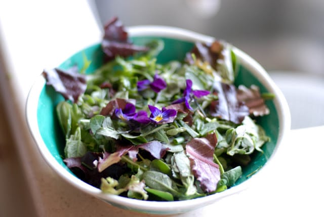 foraged salad for lunch