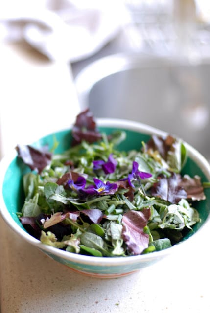 edible weed salad